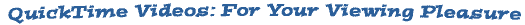 Message Bar